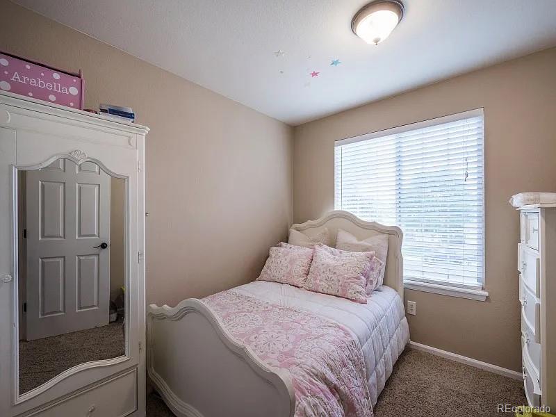MLS Image #13 for 7053  leopard drive,littleton, Colorado