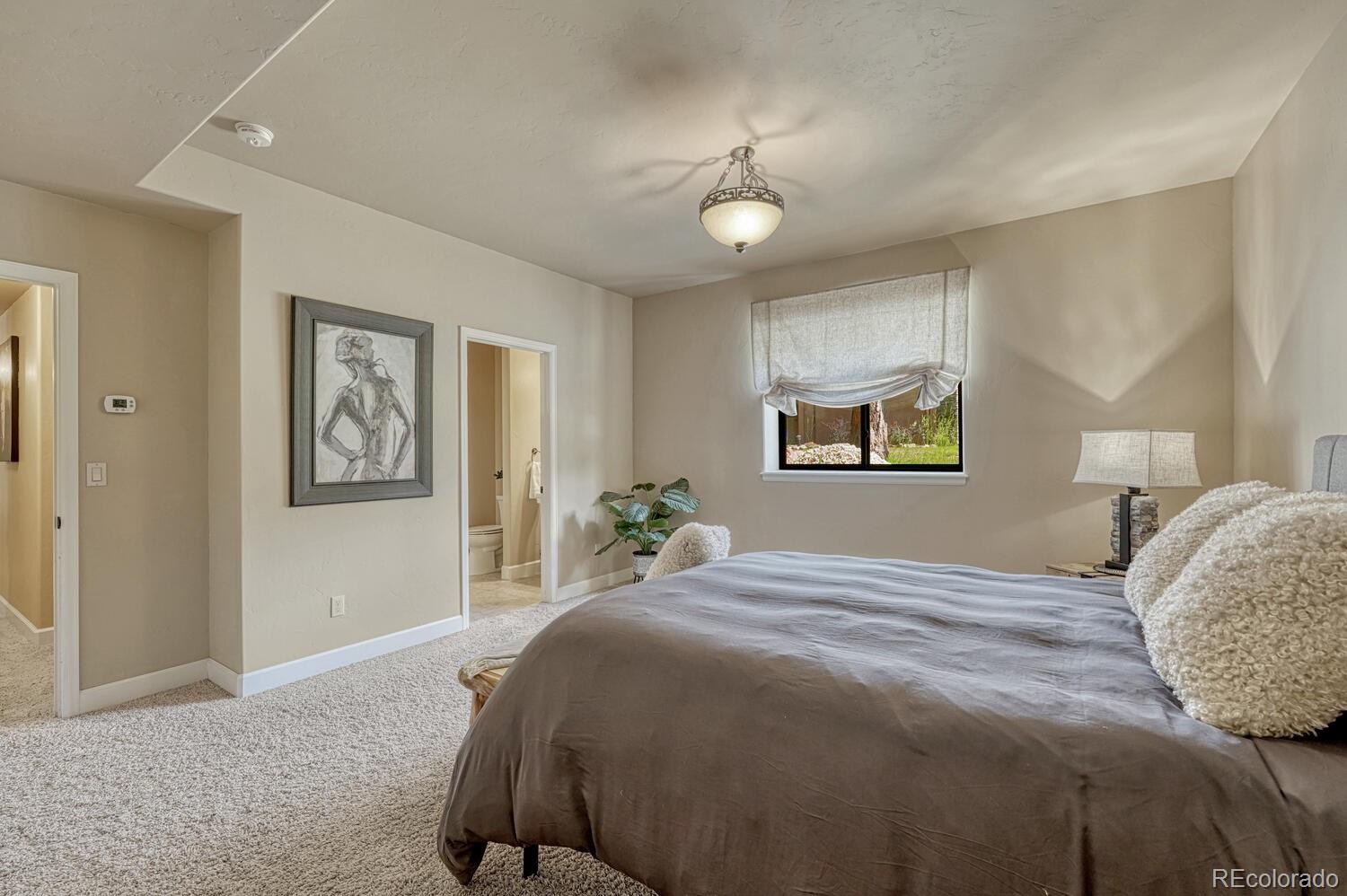 MLS Image #40 for 1250  cottontail trail,woodland park, Colorado