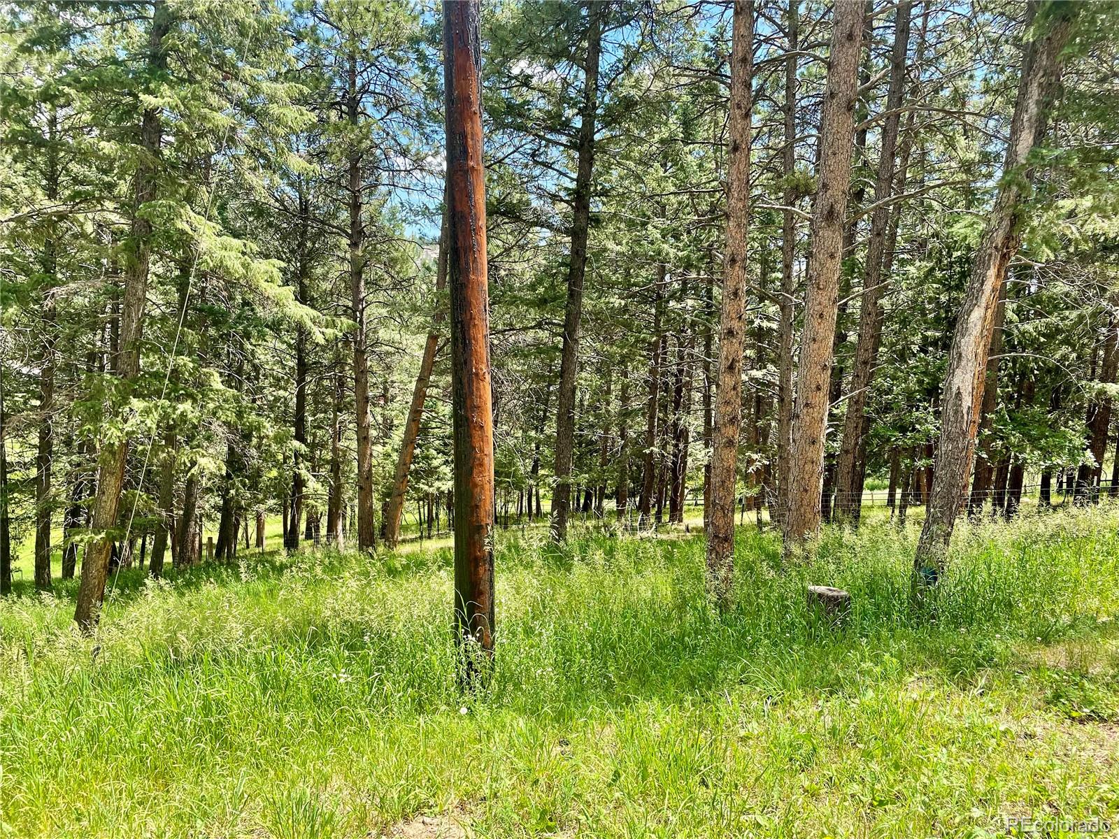 MLS Image #5 for 6616  high drive,morrison, Colorado