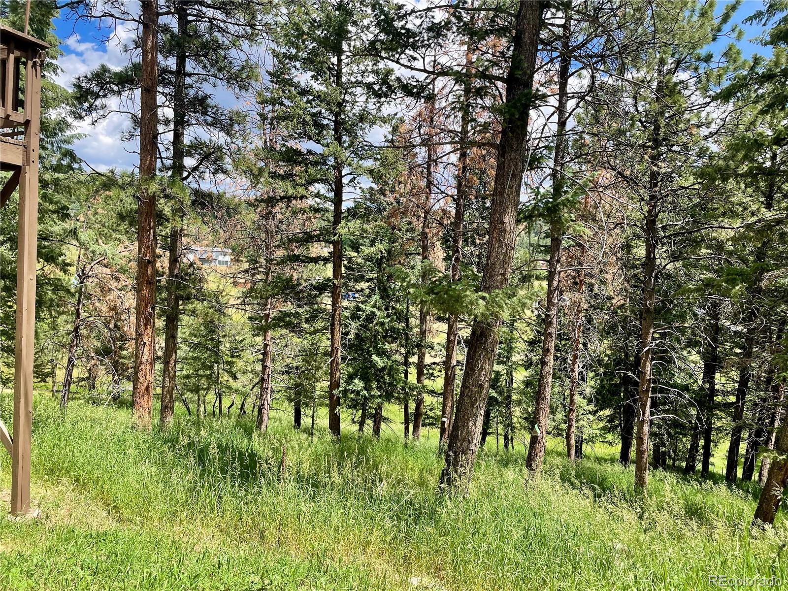 MLS Image #6 for 6616  high drive,morrison, Colorado