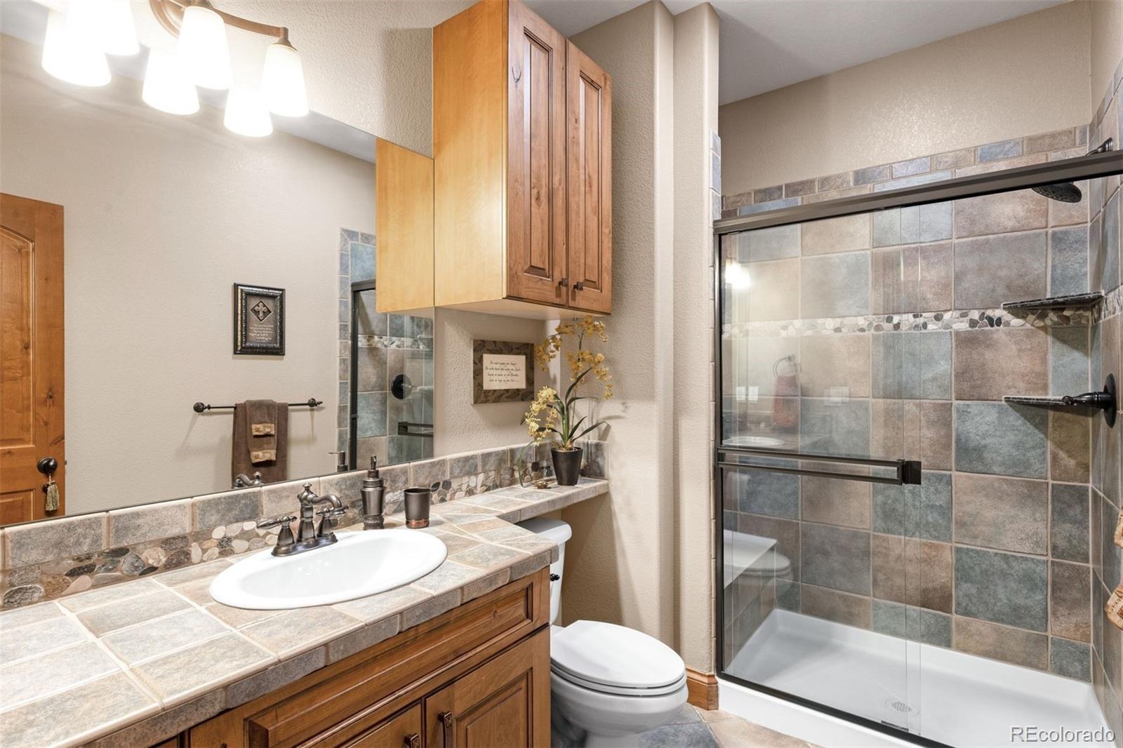 MLS Image #26 for 4433  tierra alta drive,castle rock, Colorado