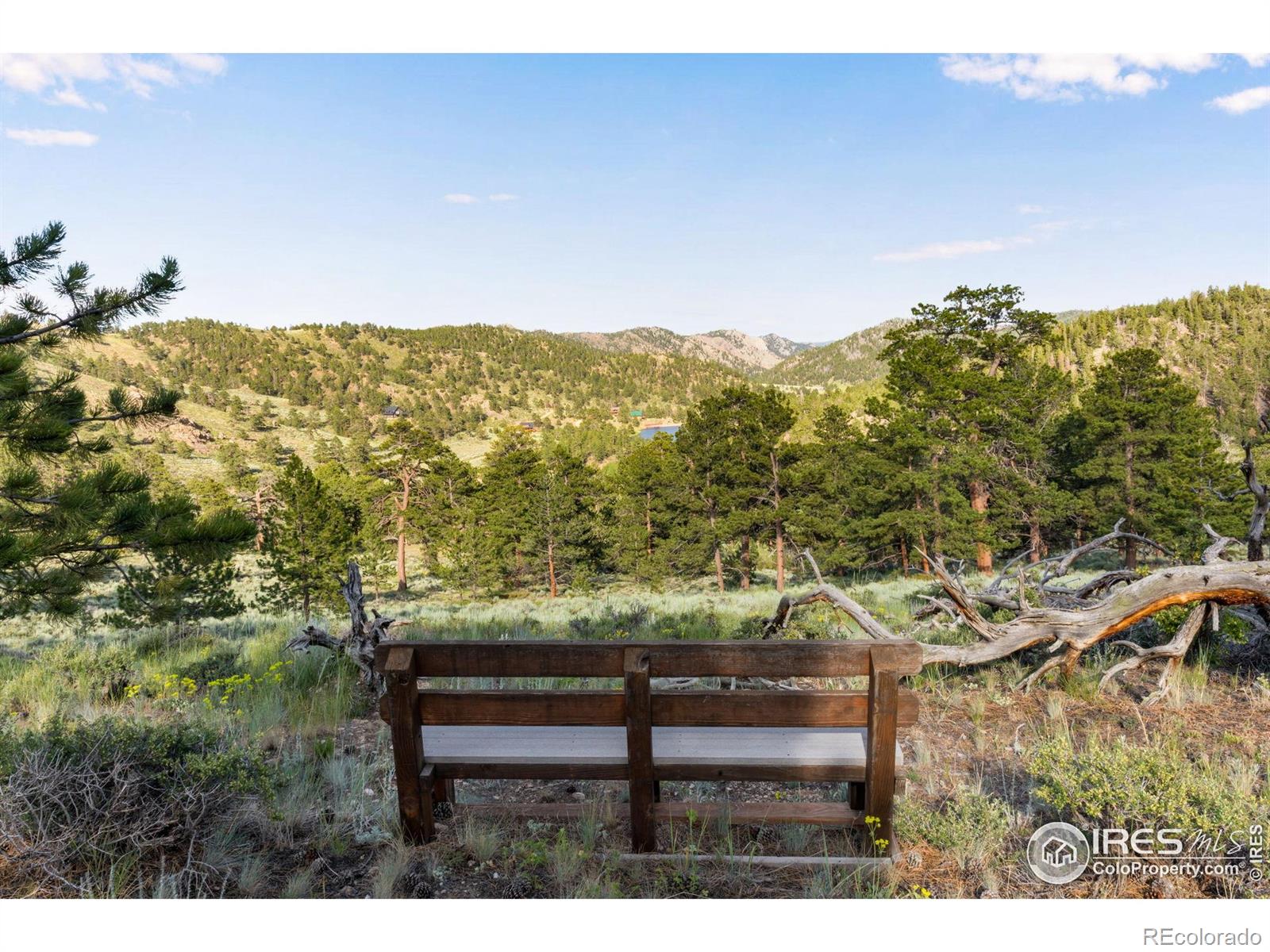 MLS Image #27 for 434  caddo road,red feather lakes, Colorado