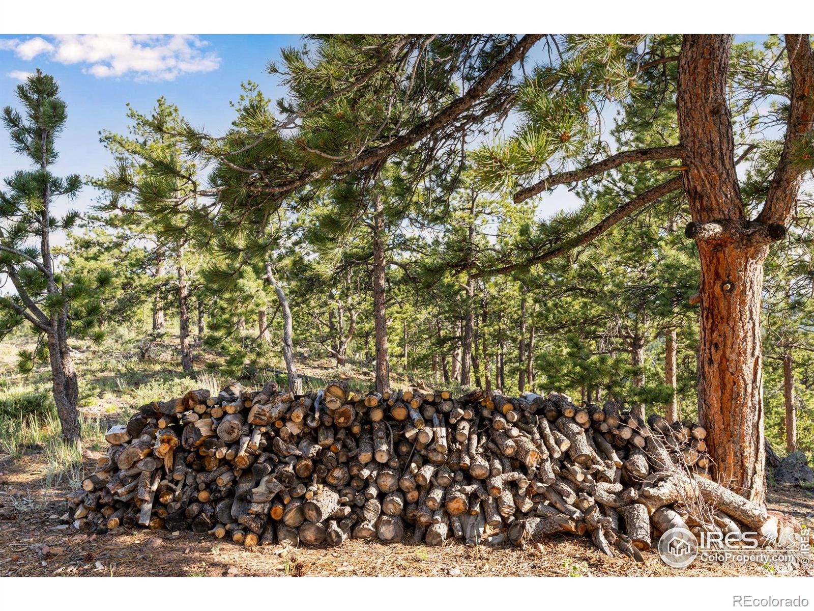 MLS Image #33 for 434  caddo road,red feather lakes, Colorado