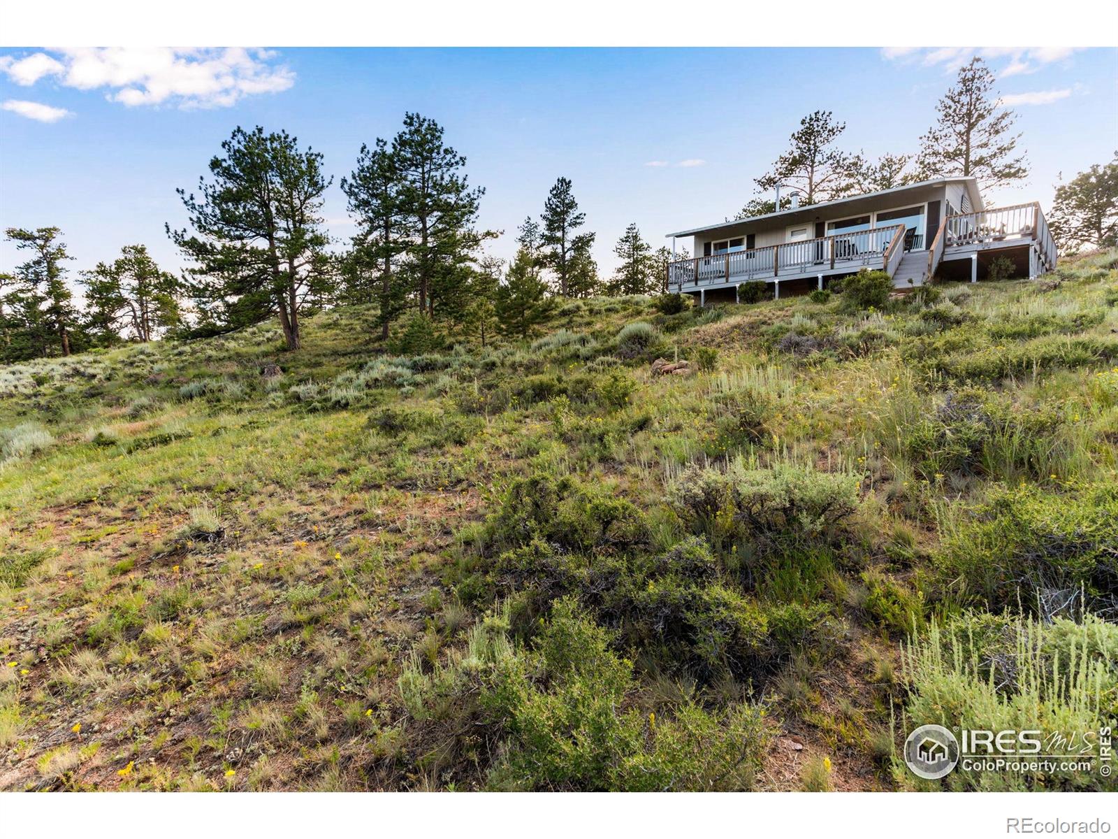 MLS Image #36 for 434  caddo road,red feather lakes, Colorado