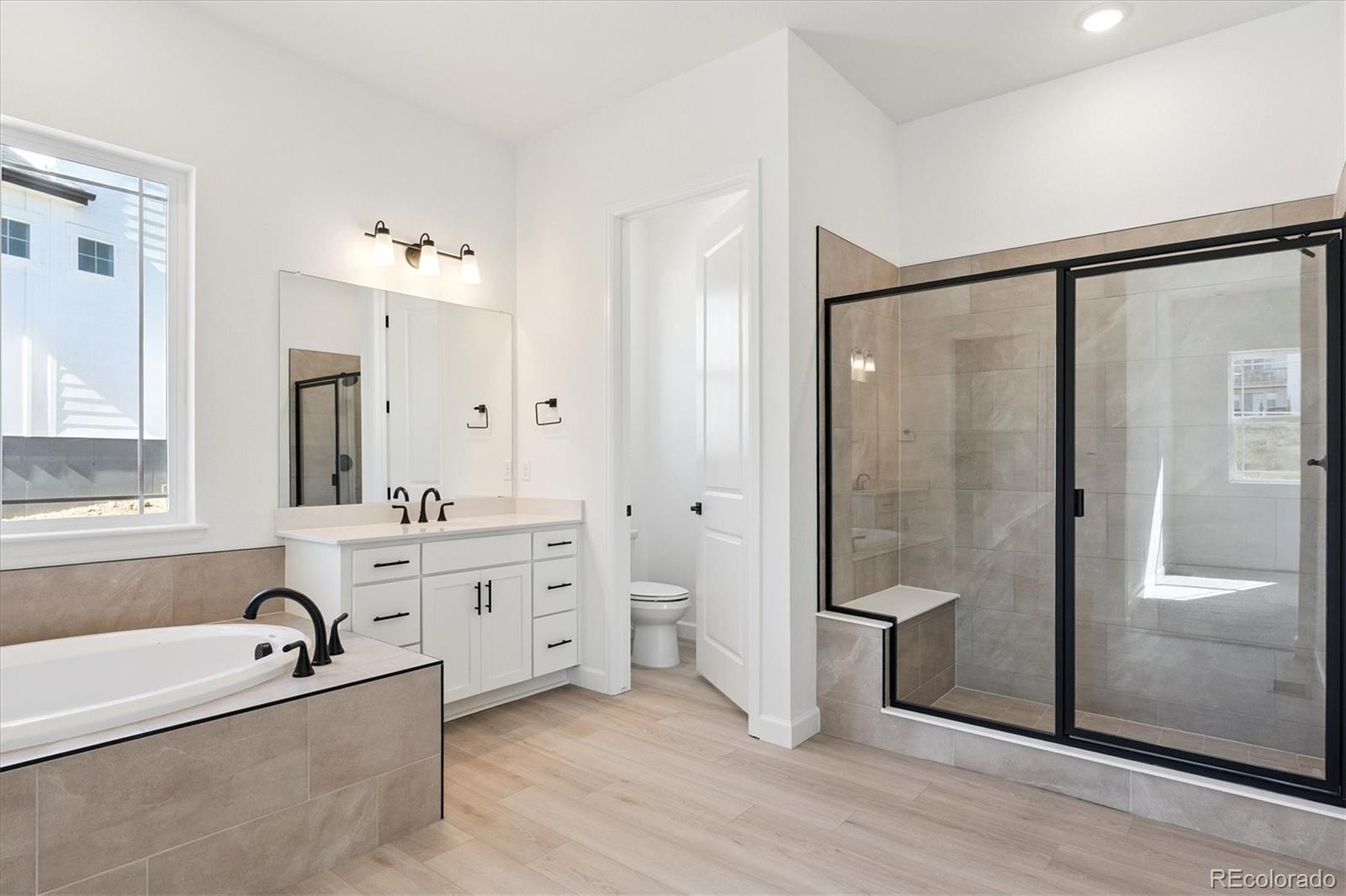 MLS Image #11 for 1668  green fern point,castle rock, Colorado
