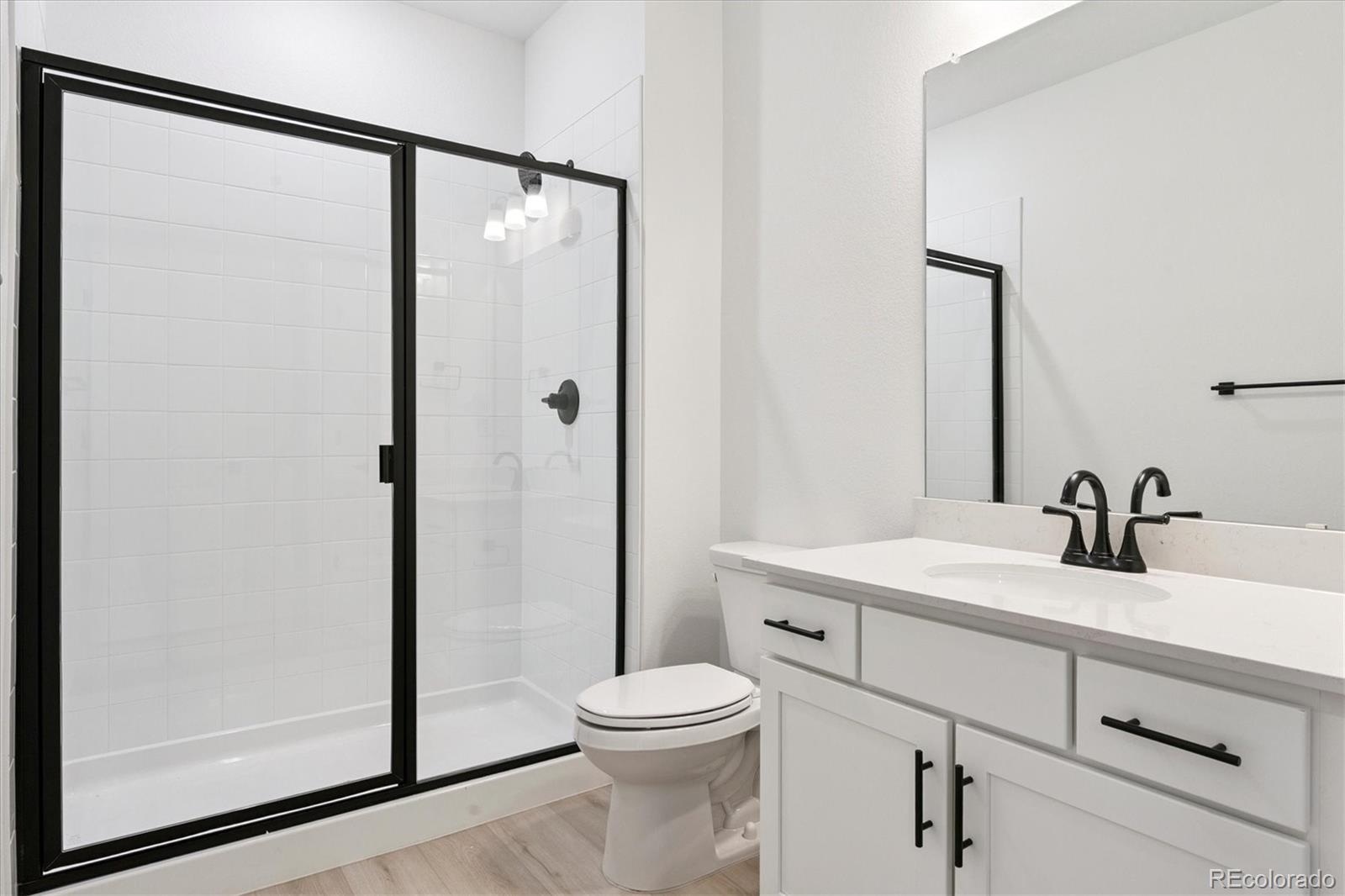 MLS Image #19 for 1668  green fern point,castle rock, Colorado
