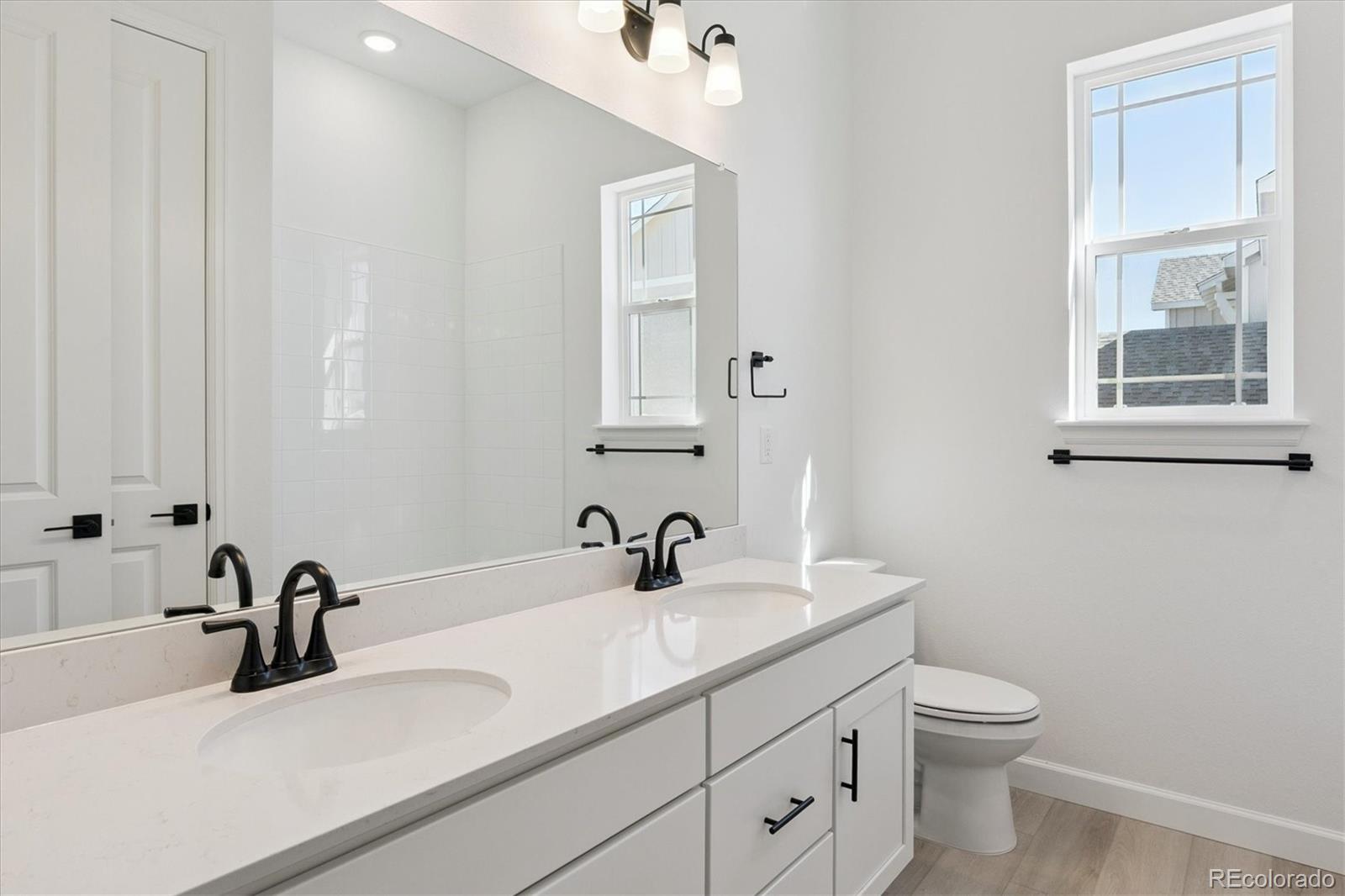 MLS Image #2 for 1668  green fern point,castle rock, Colorado