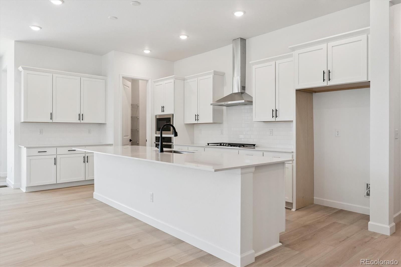 MLS Image #6 for 1668  green fern point,castle rock, Colorado
