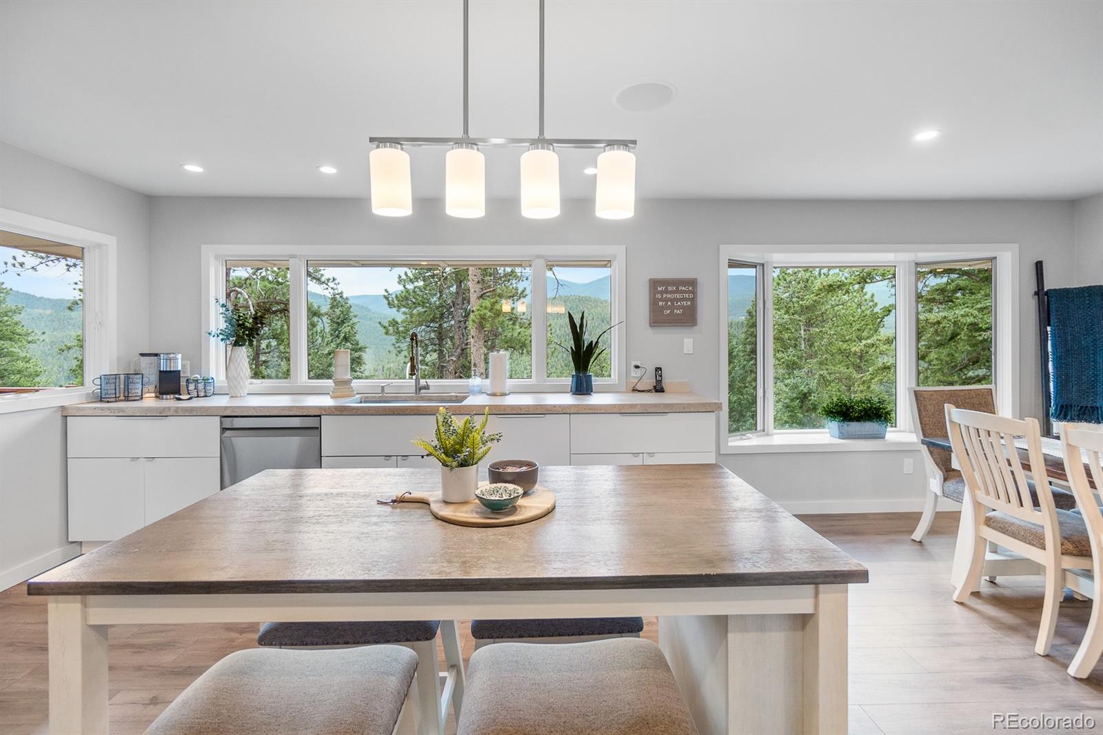 MLS Image #14 for 32512  lodgepole drive,evergreen, Colorado