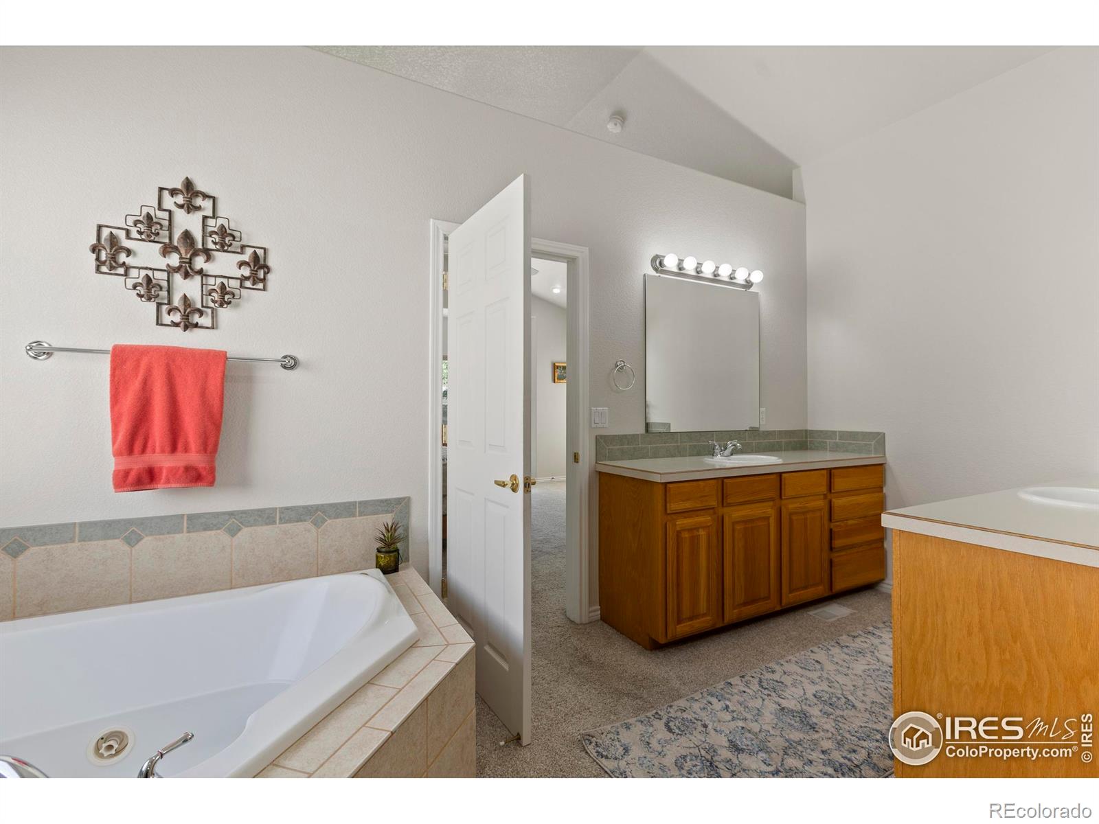 MLS Image #15 for 3520  wild view drive,fort collins, Colorado