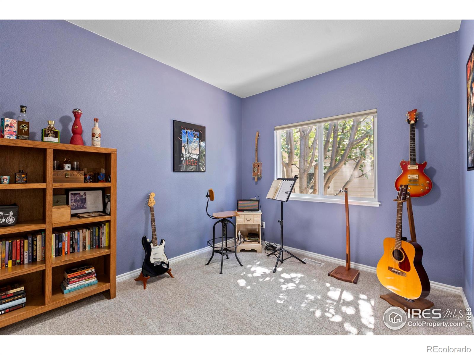 MLS Image #18 for 3520  wild view drive,fort collins, Colorado