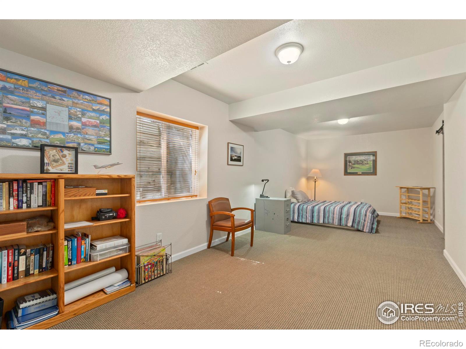 MLS Image #21 for 3520  wild view drive,fort collins, Colorado
