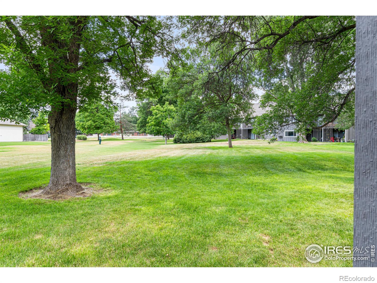 MLS Image #22 for 705 e drake road,fort collins, Colorado
