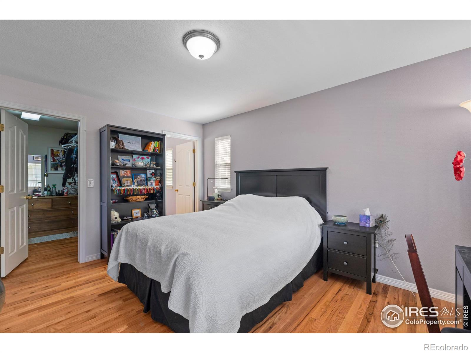 MLS Image #14 for 1014  andrews peak drive,fort collins, Colorado