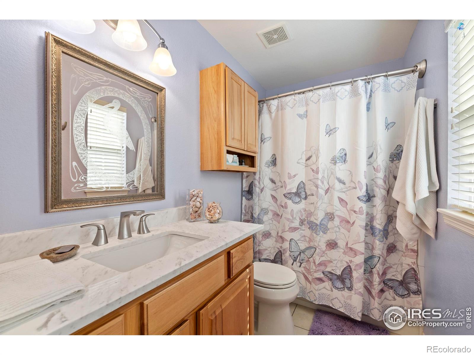 MLS Image #16 for 1014  andrews peak drive,fort collins, Colorado