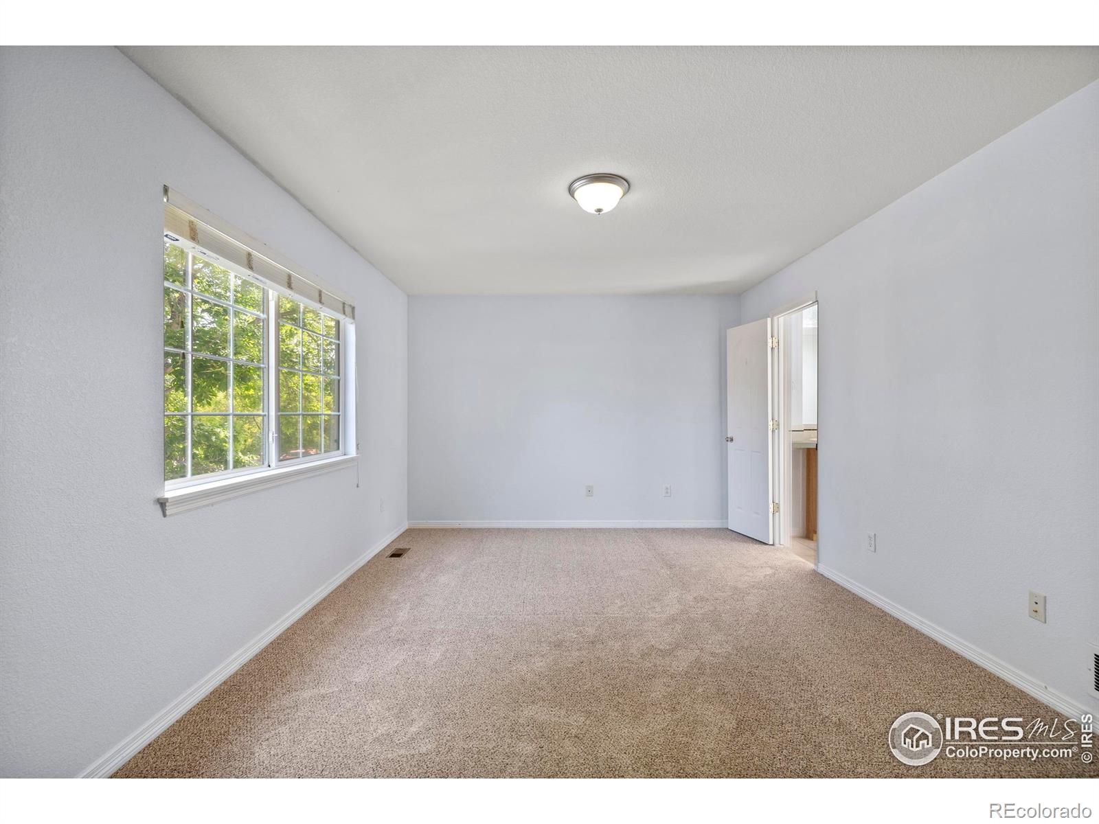 MLS Image #23 for 1014  andrews peak drive,fort collins, Colorado