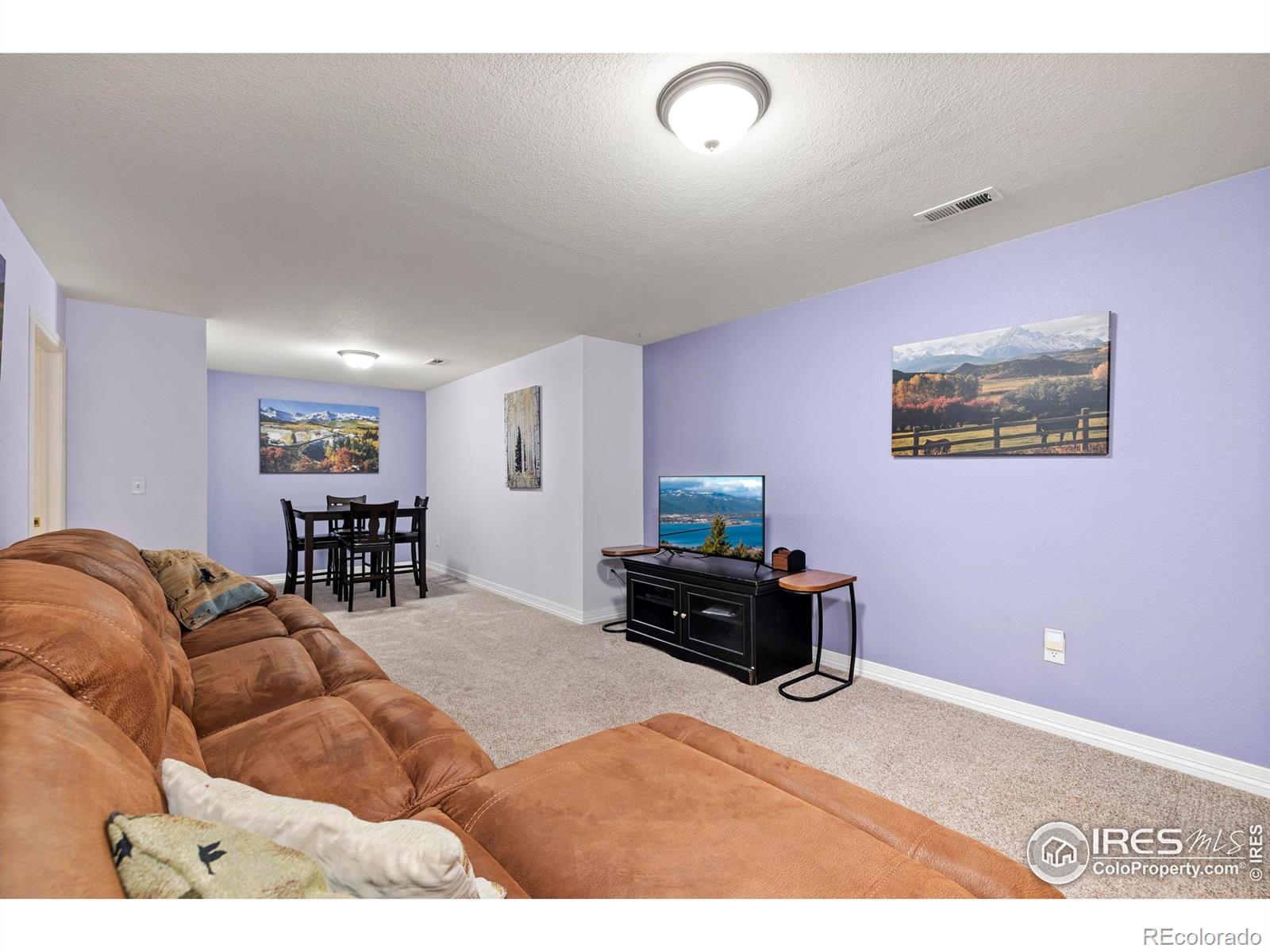 MLS Image #25 for 1014  andrews peak drive,fort collins, Colorado