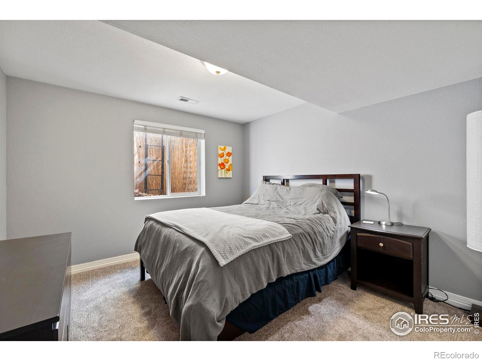MLS Image #27 for 1014  andrews peak drive,fort collins, Colorado