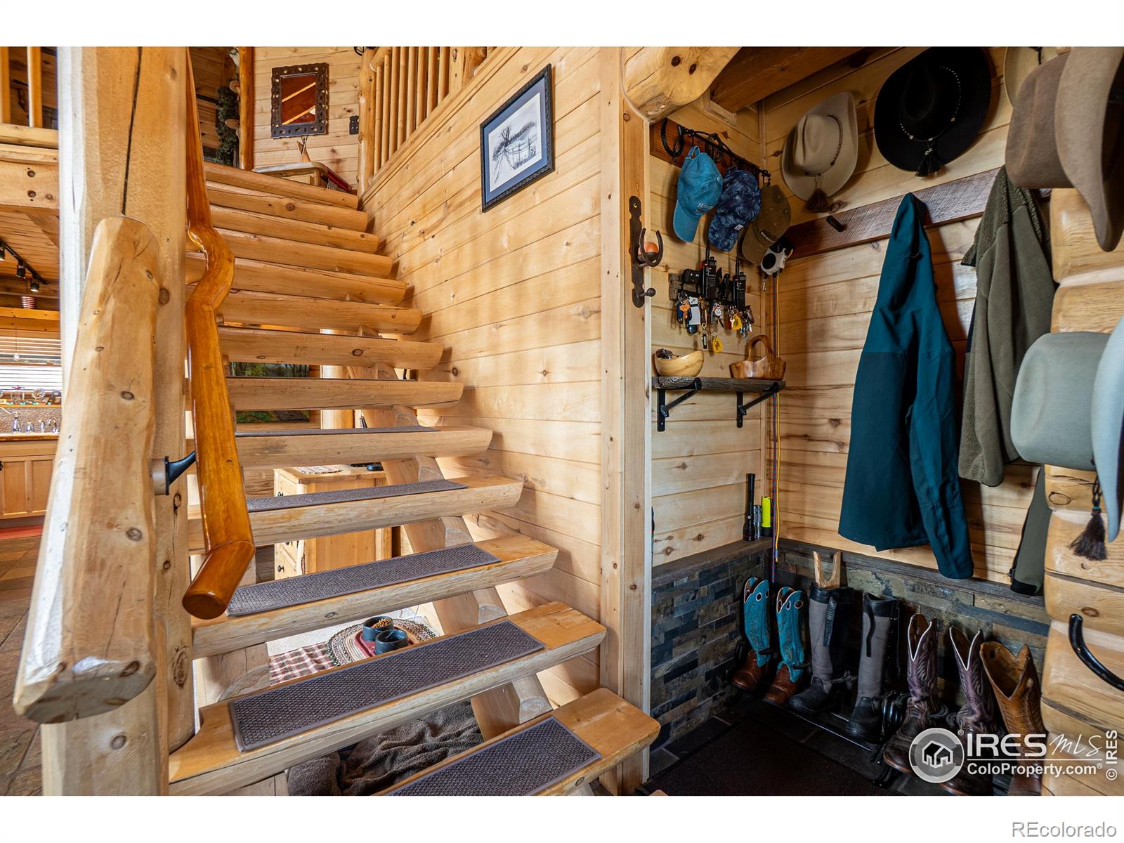 MLS Image #16 for 316  two bears road,livermore, Colorado