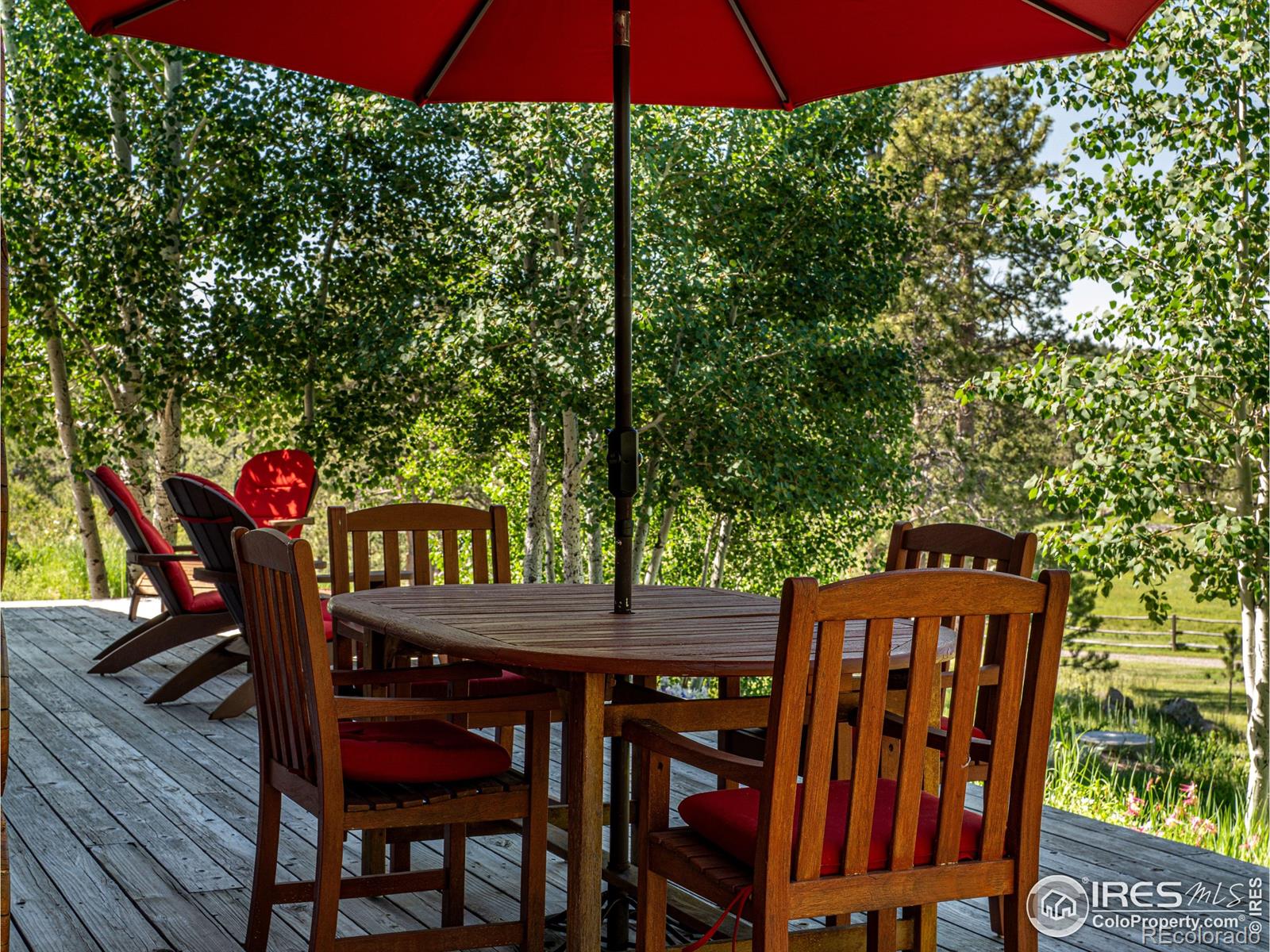 MLS Image #22 for 316  two bears road,livermore, Colorado