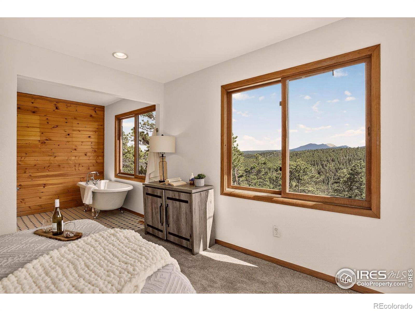 MLS Image #27 for 144  coyote court,boulder, Colorado