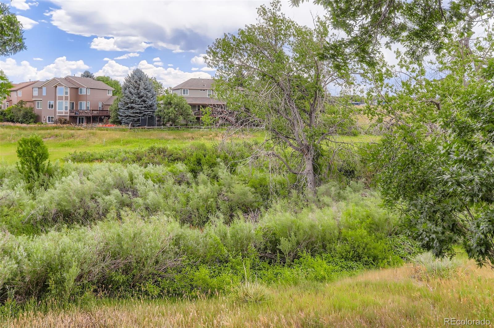 MLS Image #23 for 4972  greenwich drive,highlands ranch, Colorado