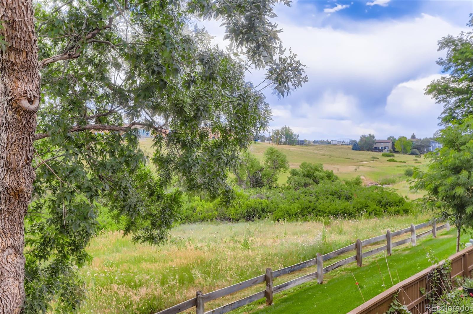 MLS Image #24 for 4972  greenwich drive,highlands ranch, Colorado
