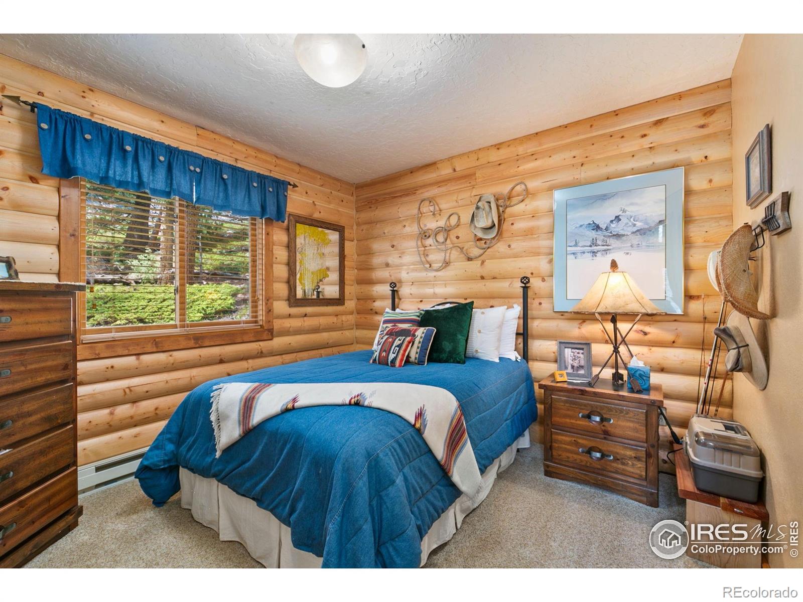 MLS Image #15 for 1255  jicarilla trail,red feather lakes, Colorado