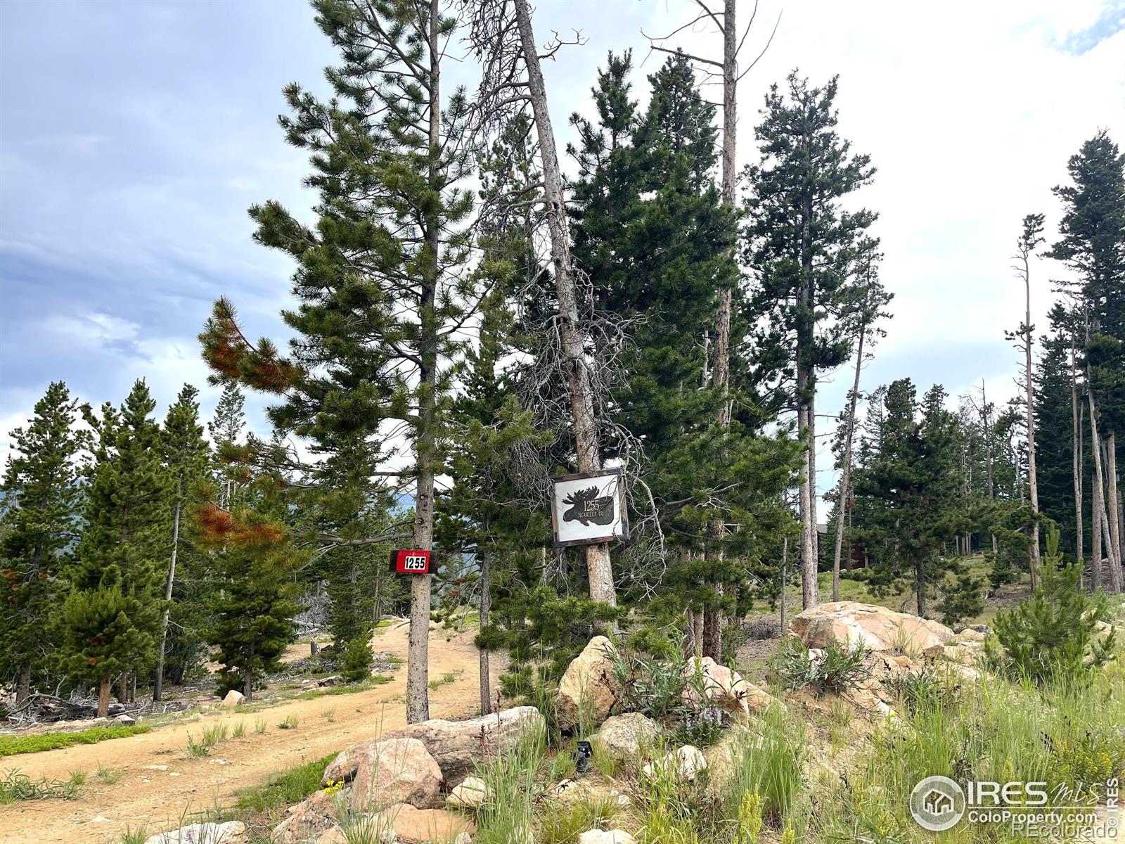MLS Image #28 for 1255  jicarilla trail,red feather lakes, Colorado
