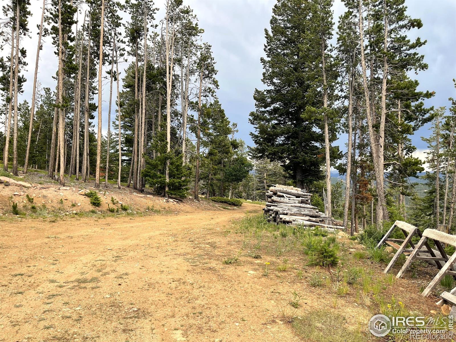 MLS Image #30 for 1255  jicarilla trail,red feather lakes, Colorado