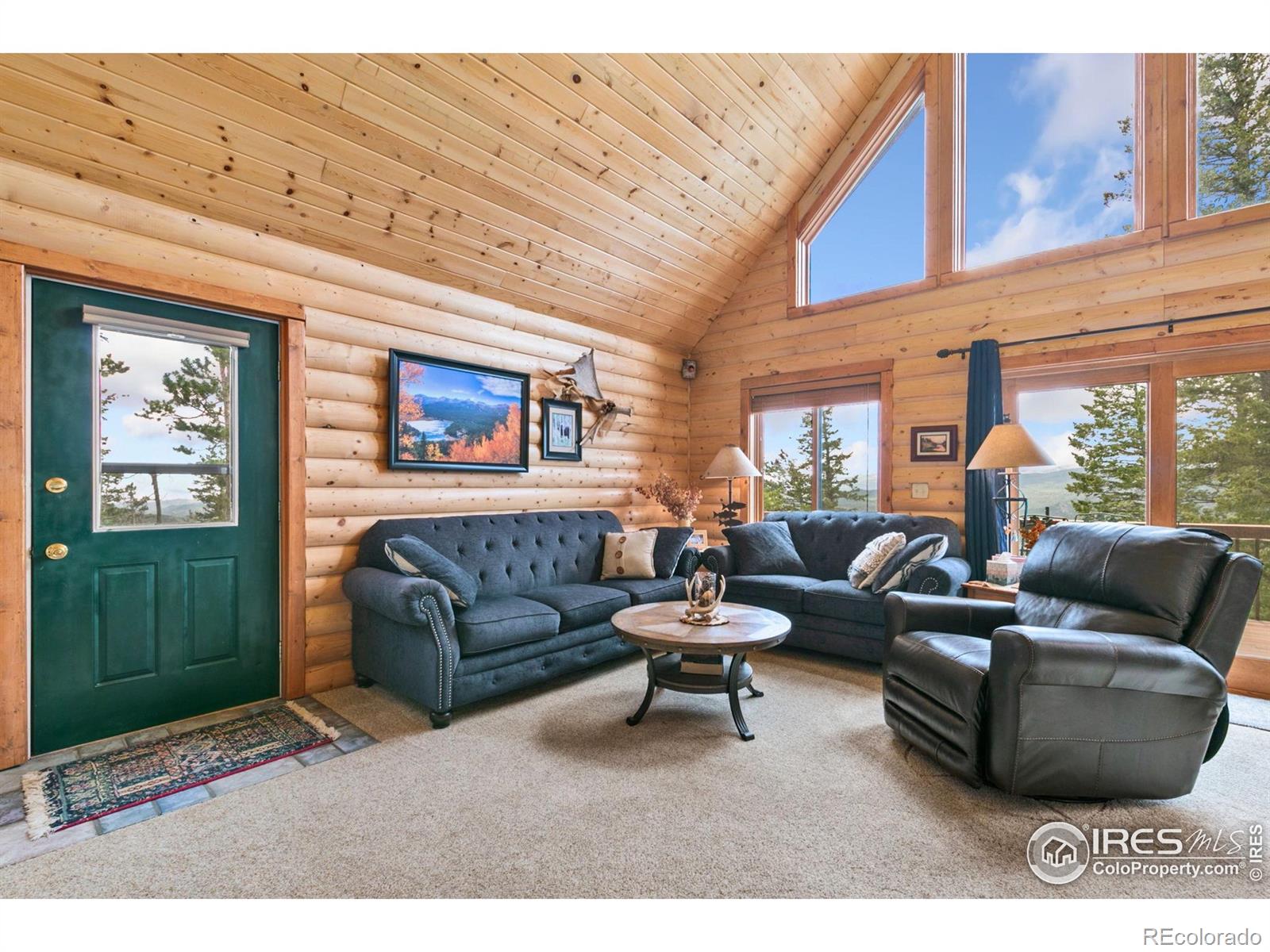 MLS Image #5 for 1255  jicarilla trail,red feather lakes, Colorado