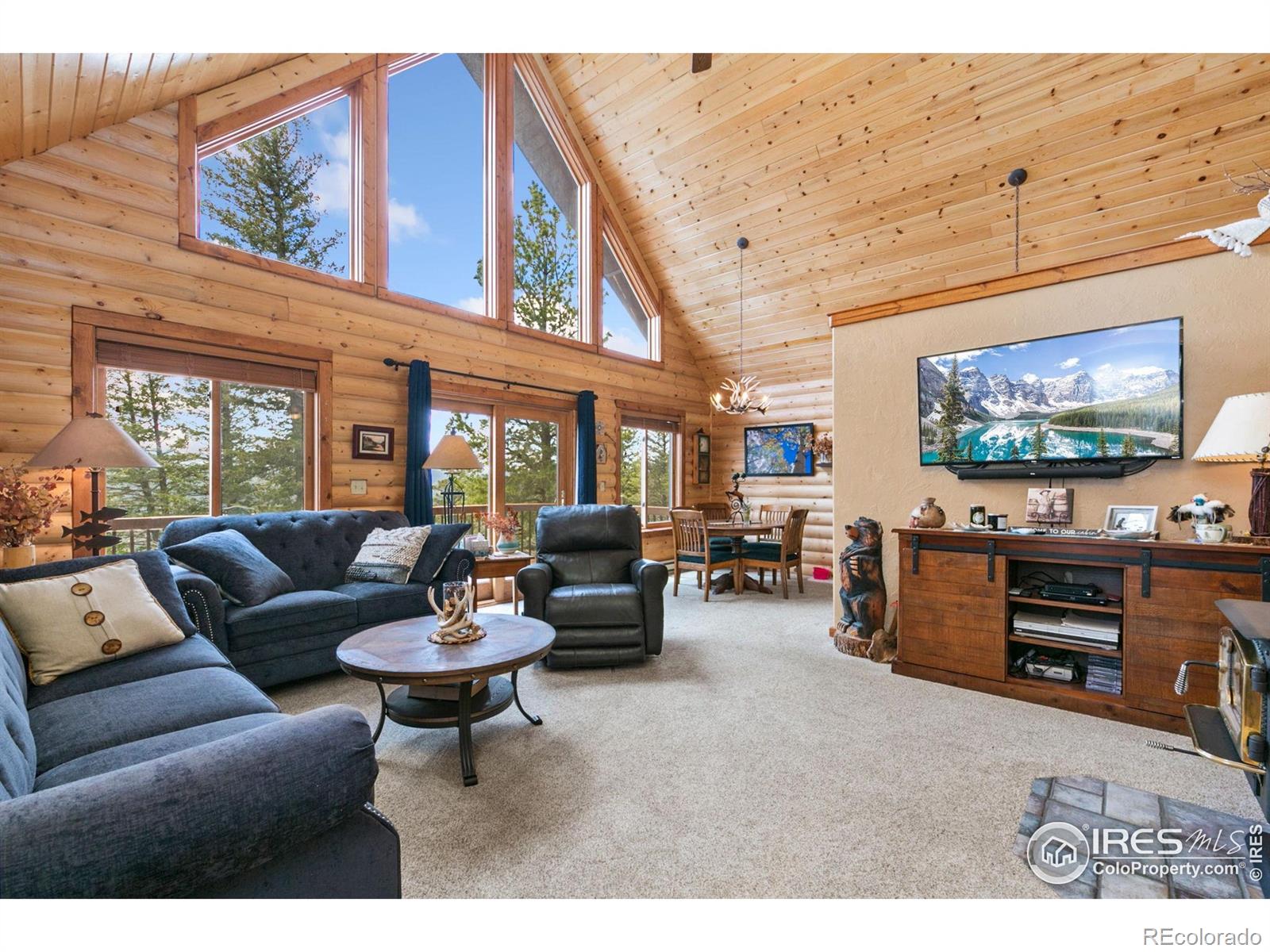 MLS Image #6 for 1255  jicarilla trail,red feather lakes, Colorado