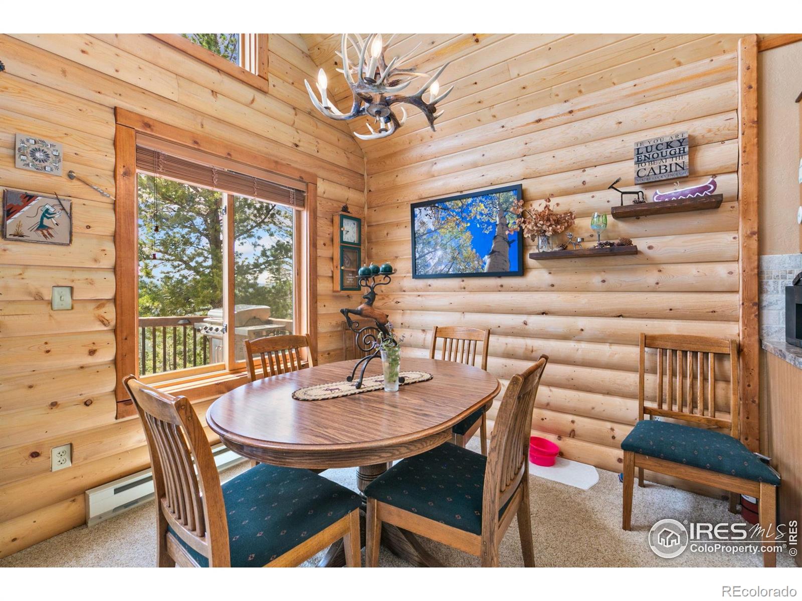 MLS Image #9 for 1255  jicarilla trail,red feather lakes, Colorado