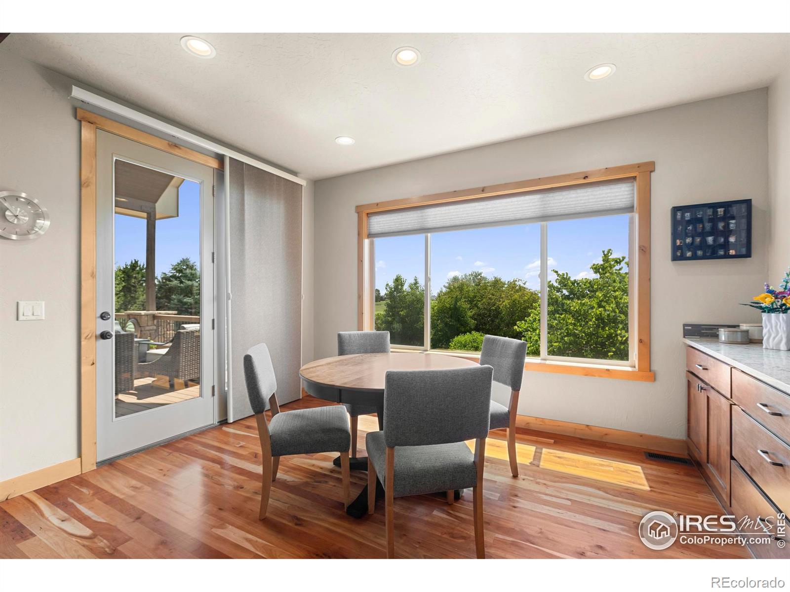 MLS Image #13 for 37044  soaring eagle circle,severance, Colorado