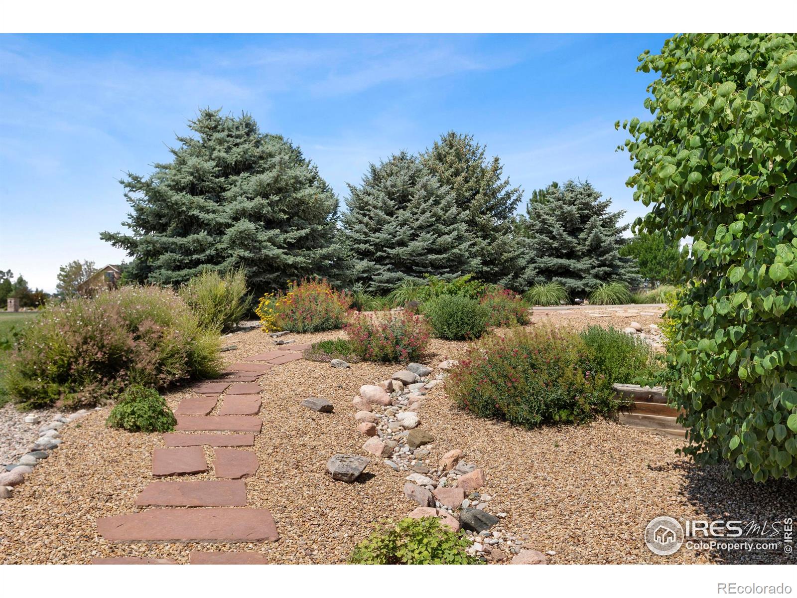 MLS Image #36 for 37044  soaring eagle circle,severance, Colorado