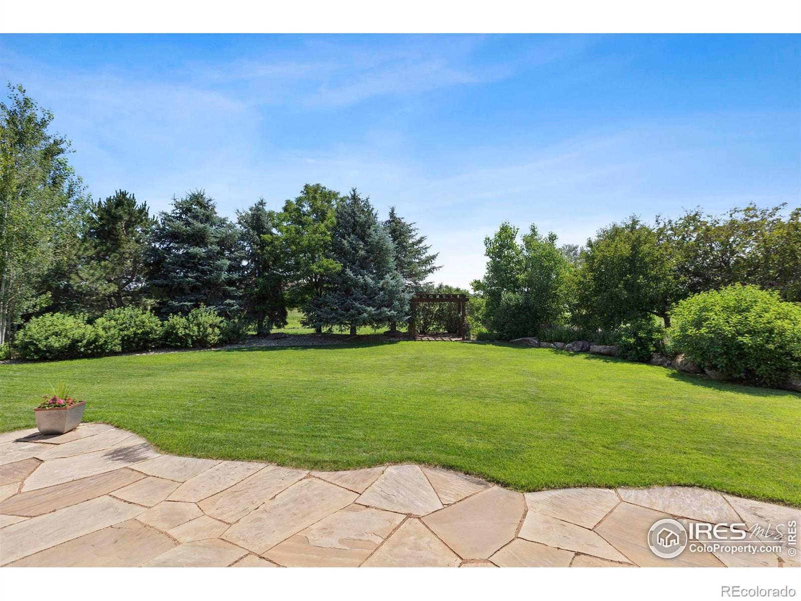 MLS Image #37 for 37044  soaring eagle circle,severance, Colorado