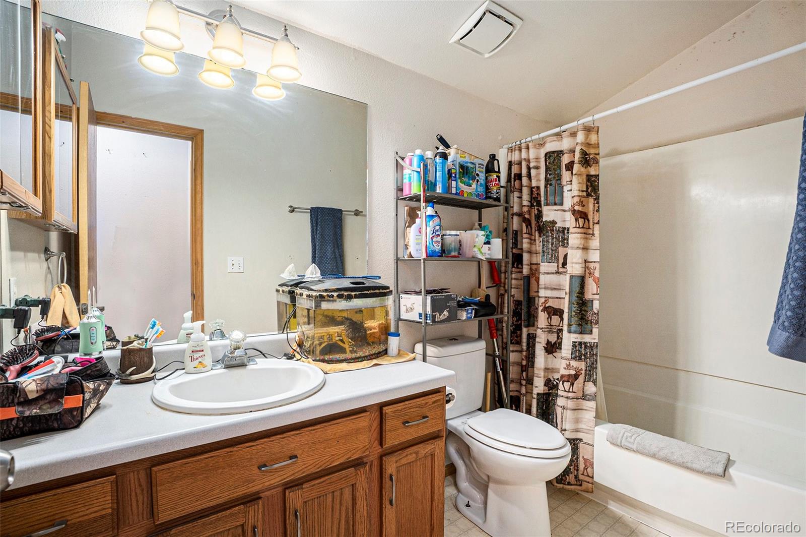MLS Image #11 for 364  washington street,elizabeth, Colorado