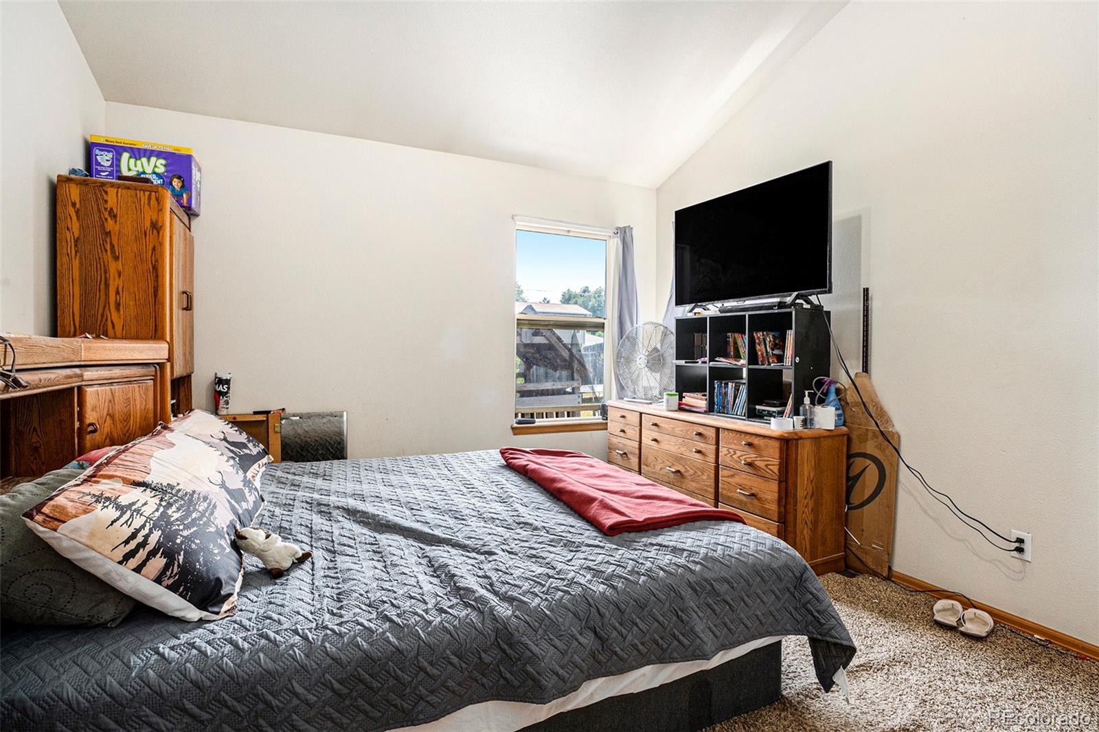 MLS Image #9 for 364  washington street,elizabeth, Colorado