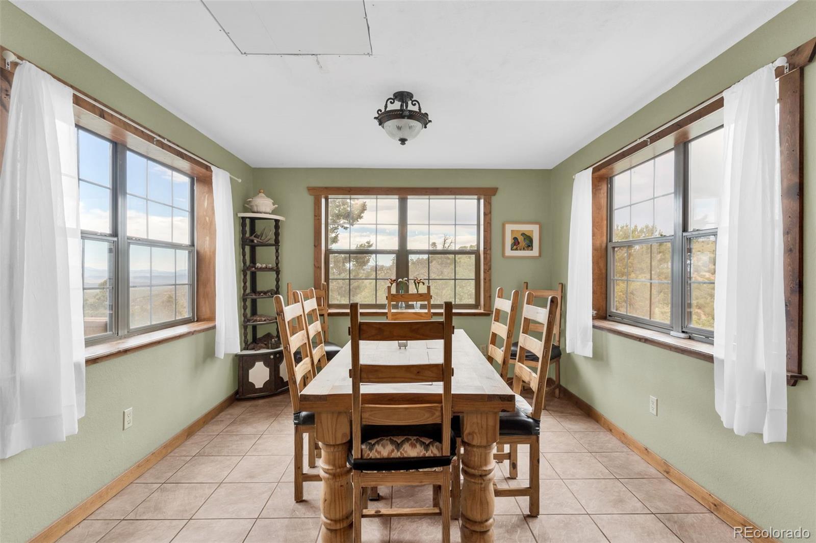 MLS Image #19 for 1411  little horn drive,westcliffe, Colorado