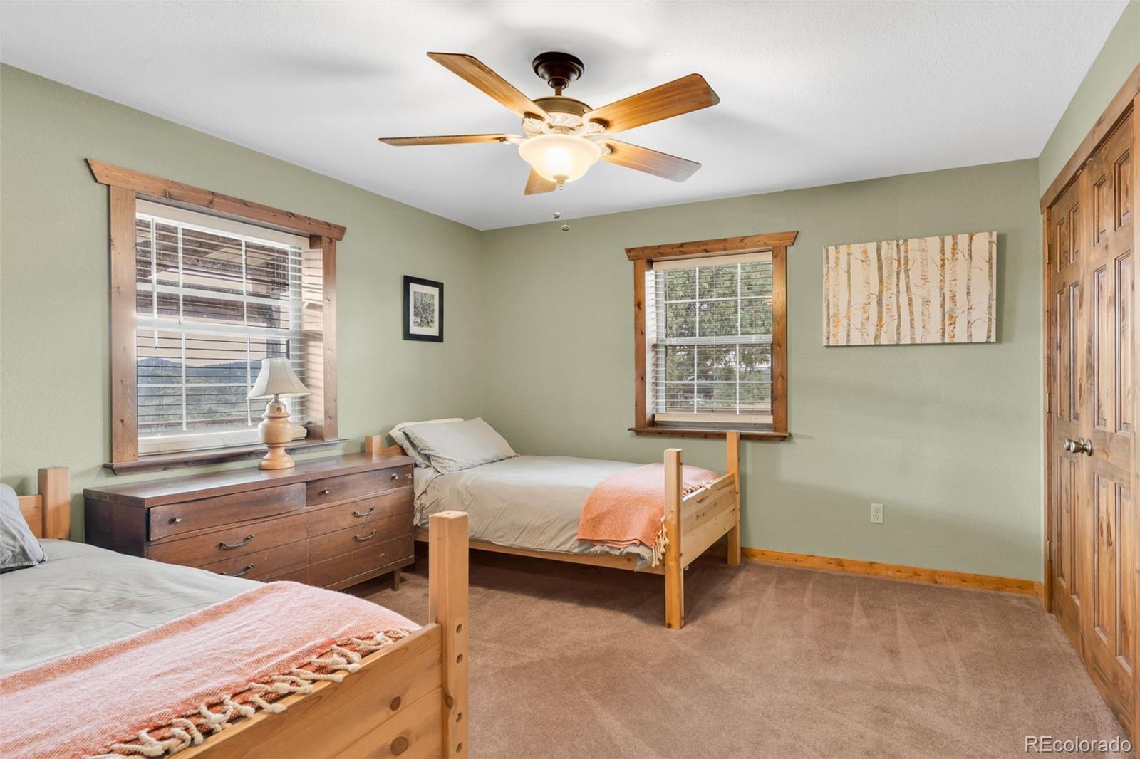 MLS Image #23 for 1411  little horn drive,westcliffe, Colorado