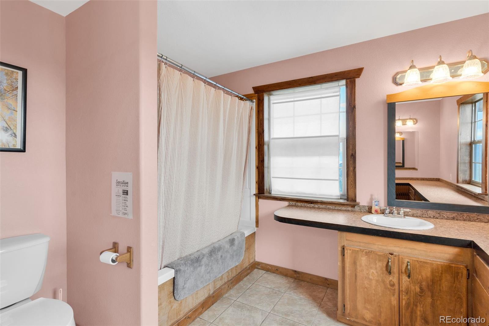 MLS Image #29 for 1411  little horn drive,westcliffe, Colorado
