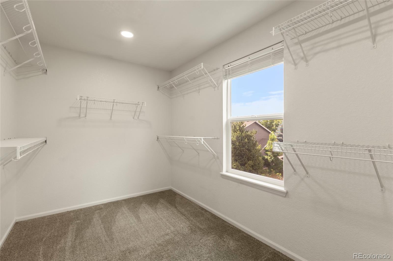 MLS Image #19 for 2121  harvest street,fort collins, Colorado