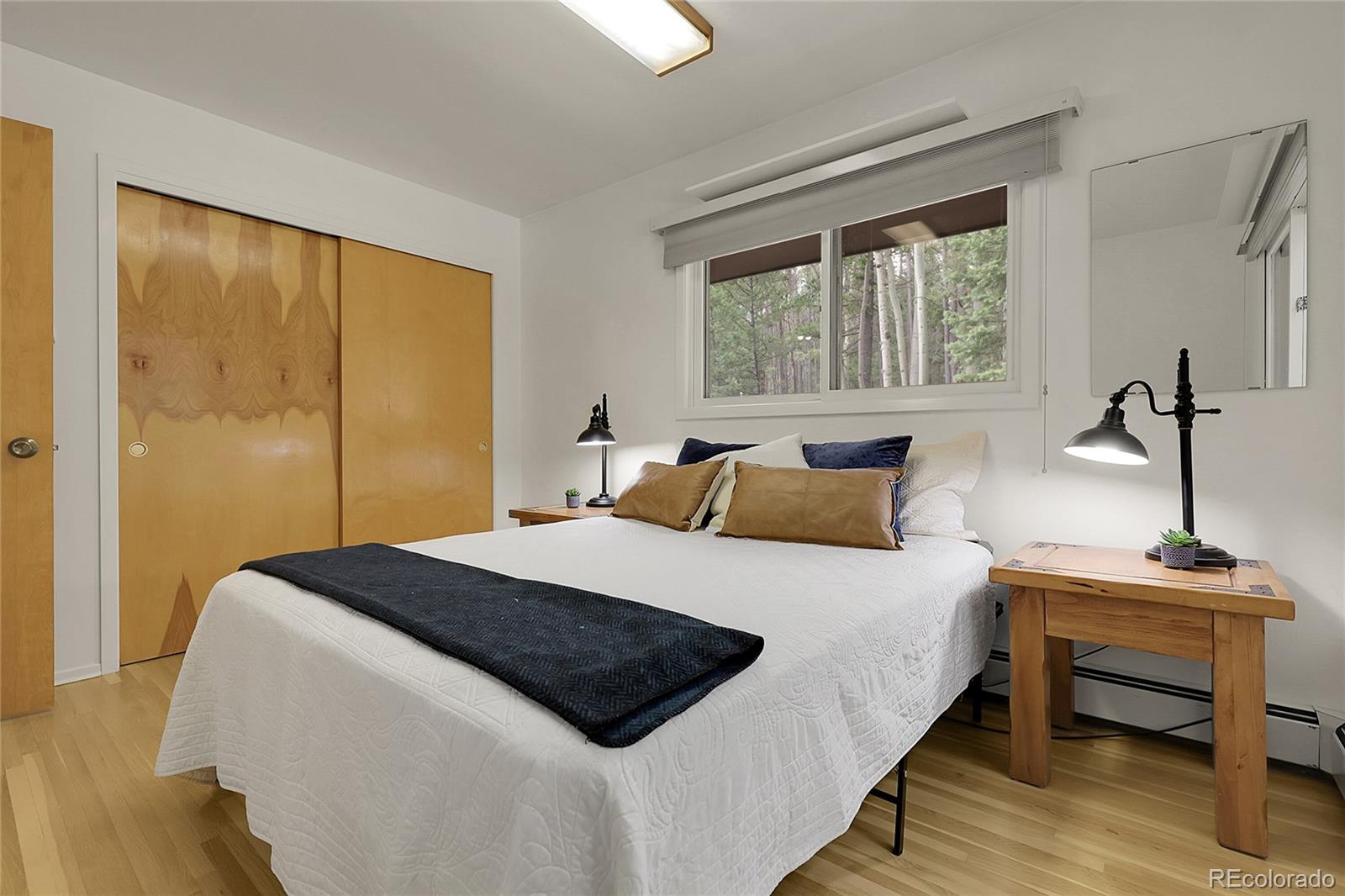 MLS Image #10 for 29958  conifer mountain drive,conifer, Colorado