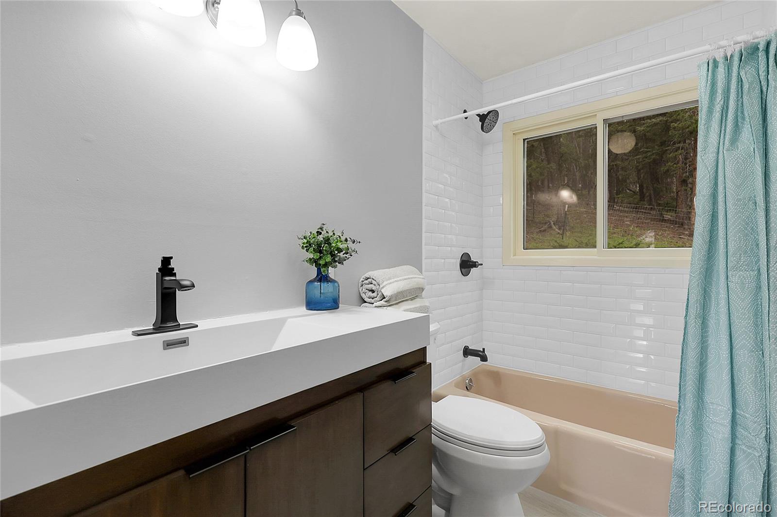 MLS Image #11 for 29958  conifer mountain drive,conifer, Colorado