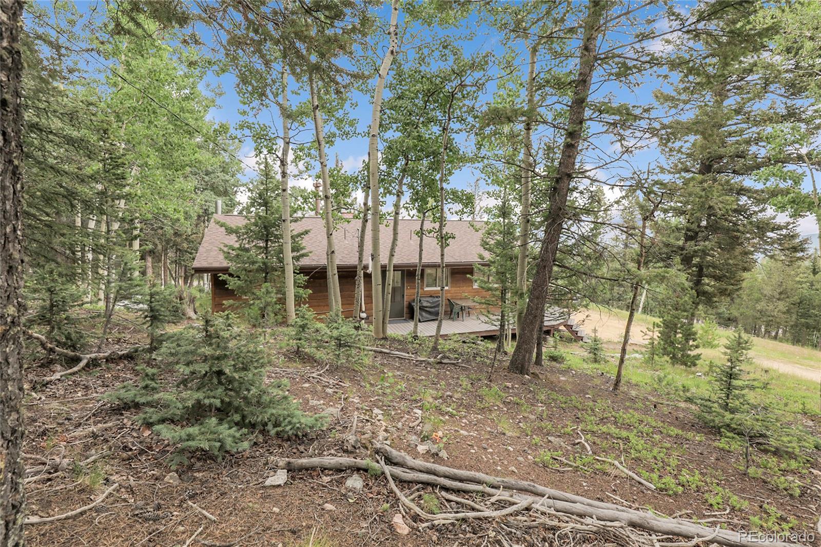 MLS Image #15 for 29958  conifer mountain drive,conifer, Colorado