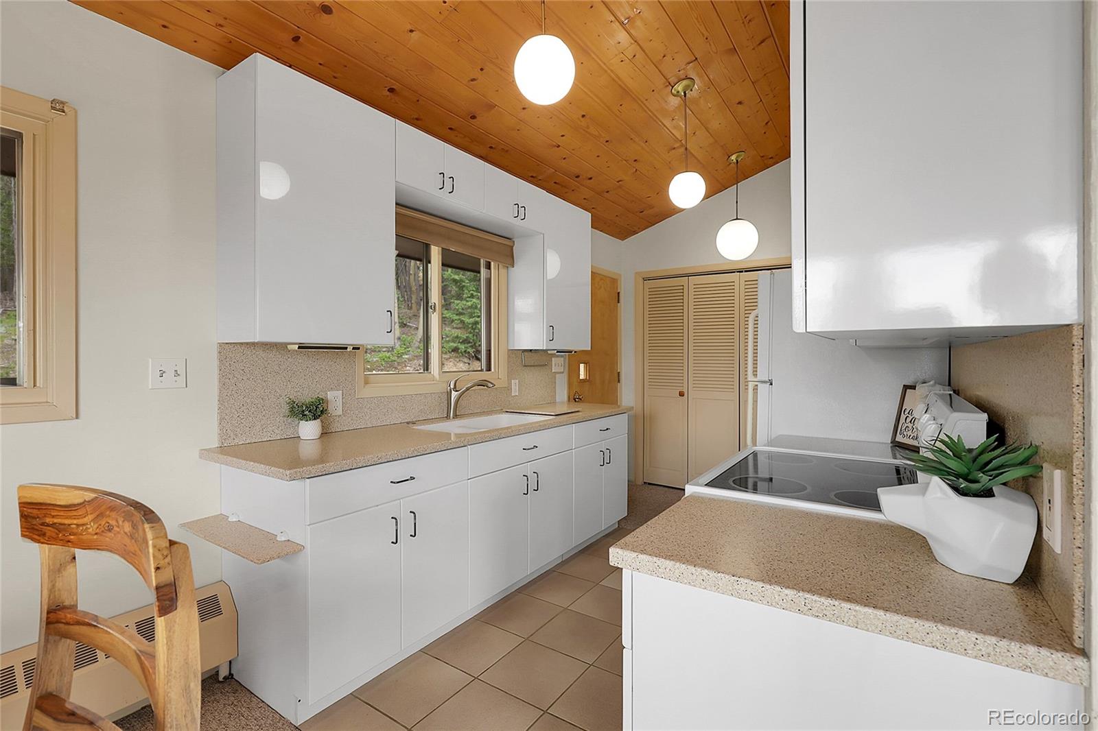 MLS Image #7 for 29958  conifer mountain drive,conifer, Colorado
