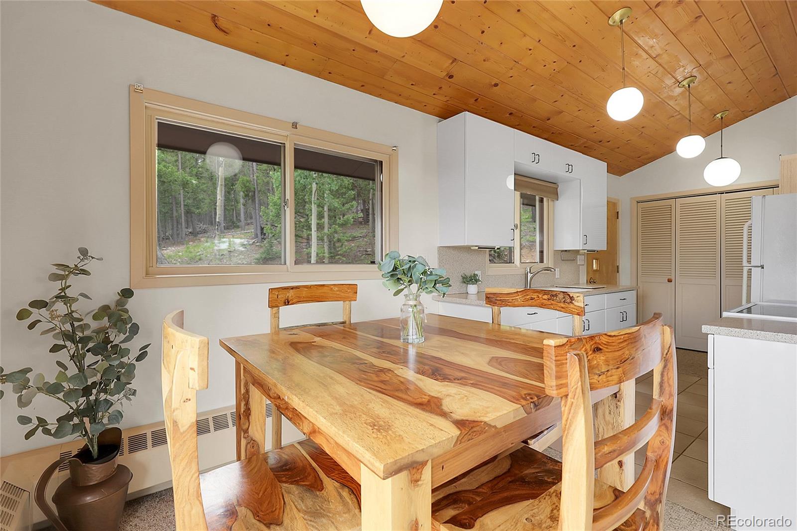 MLS Image #8 for 29958  conifer mountain drive,conifer, Colorado