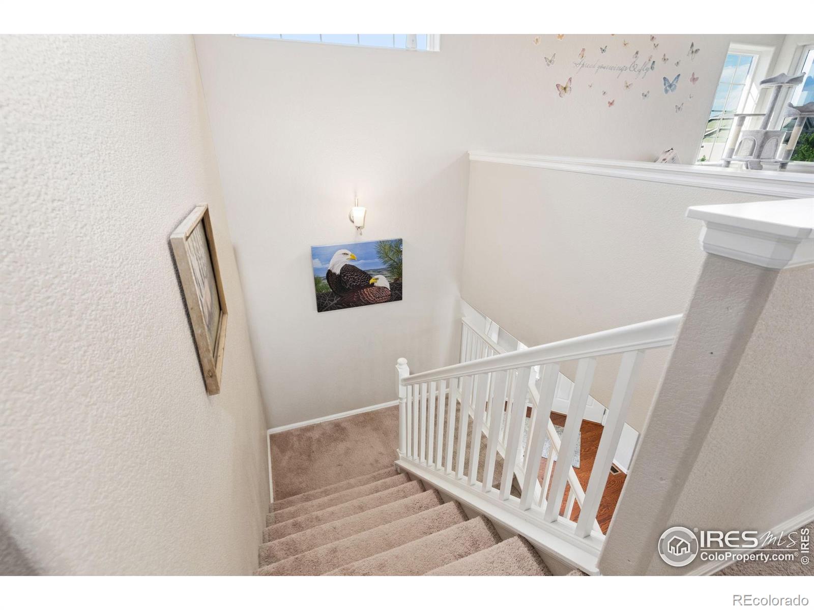 MLS Image #17 for 2653  emerald street,loveland, Colorado