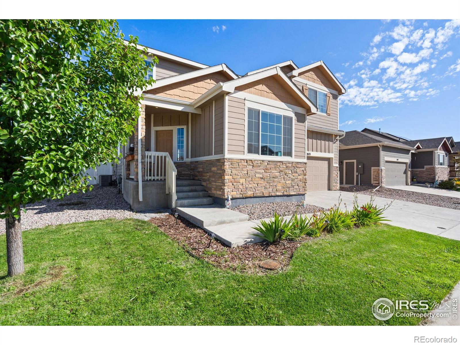 MLS Image #2 for 2653  emerald street,loveland, Colorado