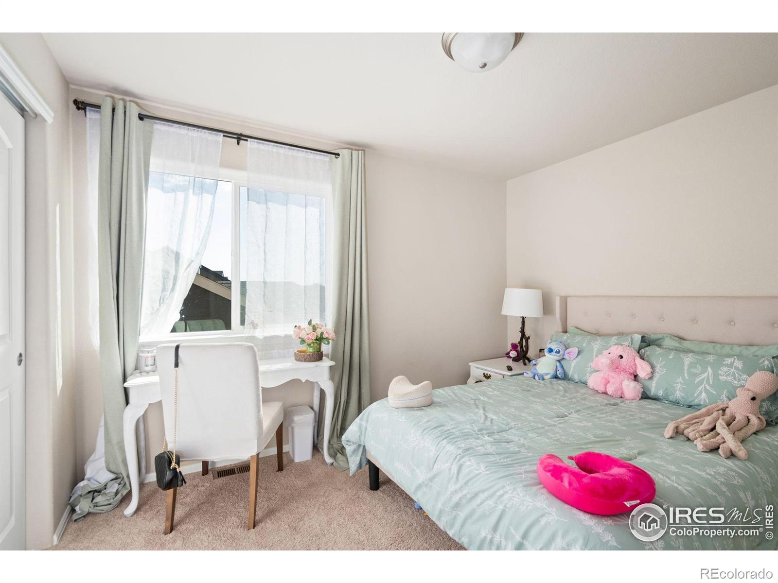 MLS Image #21 for 2653  emerald street,loveland, Colorado